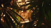 Celo fashion &amp;fragrances - Home